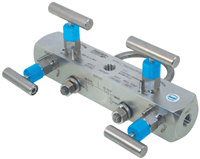 P3GC4S Gas Chromatograph Manifold